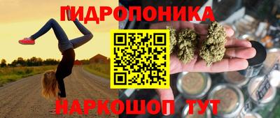 PSILOCYBIN Кулебаки