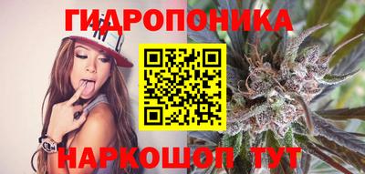 PSILOCYBIN Кулебаки