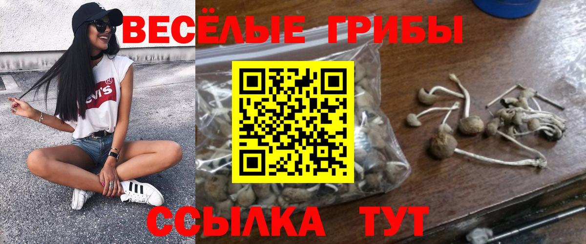 Псилоцибиновые грибы MAGIC MUSHROOMS  Псилоцибиновые грибы мухоморы  Дубна  Вход с VPN 